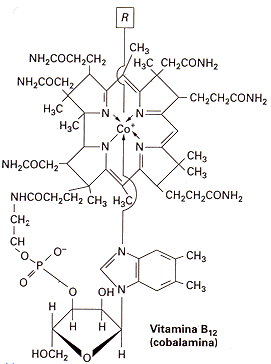 Persona e benessere  vitaminaB12_chimica Effetto di un prodotto Klamath